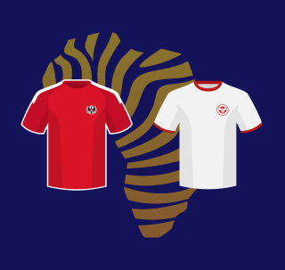 Austria vs Tunisia betting tips