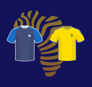 France vs Sweden betting tips
